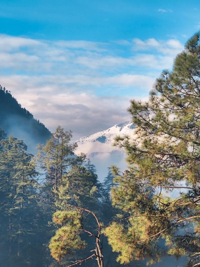 Free Culture, Chalal Bed and Breakfast Kasol Buitenkant foto